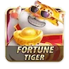 Fortunes Tiger Game